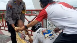 Polresta Palangka Raya, Polda Kalteng berhasil menyelamatkan seorang wanita berinisial R (39) yang nyaris mengakhiri hidup dengan mencoba terjun dari Jembatan Kahayan, Kota Palangka Raya, Kalimantan Tengah, Jumat (11/4/2025) siang.