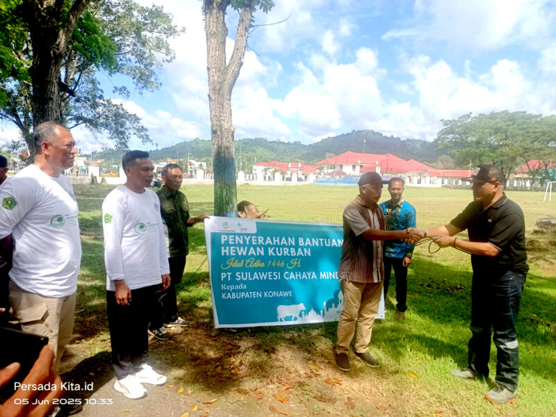 Menjelang Hari Raya Idul Adha 1446 Hijriah, PT Sulawesi Cahaya Mineral (PT SCM) bersama mitra dan kontraktor kembali menunjukkan komitmennya terhadap tanggung jawab sosial perusahaan dengan menyalurkan 28 ekor sapi qurban kepada masyarakat di wilayah lingkar tambang.