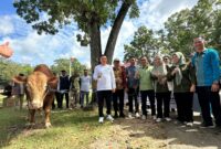 Semangat berbagi dan kebersamaan mewarnai perayaan Idul Adha 1446 H di Kelurahan Anggaberi, Konawe. Bupati Konawe, H. Yusran Akbar, ST., bersama Wakil Bupati, H. Syamsul Ibrahim, turut berpartisipasi dalam ibadah qurban dengan menyembelih seekor sapi pada Jumat (6/6/2025).