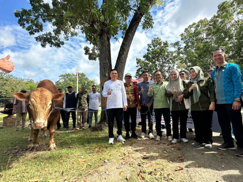 Semangat berbagi dan kebersamaan mewarnai perayaan Idul Adha 1446 H di Kelurahan Anggaberi, Konawe. Bupati Konawe, H. Yusran Akbar, ST., bersama Wakil Bupati, H. Syamsul Ibrahim, turut berpartisipasi dalam ibadah qurban dengan menyembelih seekor sapi pada Jumat (6/6/2025).