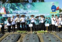 Sekretaris Daerah (Sekda) Kabupaten Konawe, Dr. Ferdinand, S.P., M.H., mewakili Bupati Konawe bersama Ketua TP PKK Kabupaten Konawe, Hj. Hania, S.Pd., M.Pd., Gr., membuka Gerakan Tanam Cabai Serentak yang dilaksanakan secara virtual bersama 17 kabupaten/kota se-Sulawesi Tenggara (Sultra). Acara berlangsung di Kelurahan Ambekairi, Kec. Unaaha, Kab Konawe, Sulawesi Tenggara, Rabu (16/7/2025)