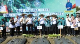 Sekretaris Daerah (Sekda) Kabupaten Konawe, Dr. Ferdinand, S.P., M.H., mewakili Bupati Konawe bersama Ketua TP PKK Kabupaten Konawe, Hj. Hania, S.Pd., M.Pd., Gr., membuka Gerakan Tanam Cabai Serentak yang dilaksanakan secara virtual bersama 17 kabupaten/kota se-Sulawesi Tenggara (Sultra). Acara berlangsung di Kelurahan Ambekairi, Kec. Unaaha, Kab Konawe, Sulawesi Tenggara, Rabu (16/7/2025)