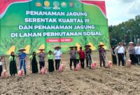 Polres Konawe bersama Pemerintah Kabupaten (Pemkab) Konawe menggelar penanaman jagung serentak pada kuartal III tahun 2025. Kegiatan yang dipusatkan di lahan SMKN SPP Wawotobi, Rabu (9/7/2025), ini melibatkan TNI, Polri, dan jajaran pemerintah provinsi serta kabupaten, menandai komitmen kuat dalam peningkatan produksi pertanian.