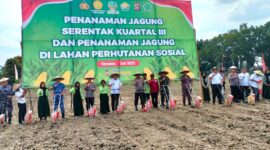 Polres Konawe bersama Pemerintah Kabupaten (Pemkab) Konawe menggelar penanaman jagung serentak pada kuartal III tahun 2025. Kegiatan yang dipusatkan di lahan SMKN SPP Wawotobi, Rabu (9/7/2025), ini melibatkan TNI, Polri, dan jajaran pemerintah provinsi serta kabupaten, menandai komitmen kuat dalam peningkatan produksi pertanian.