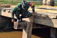 Untuk memastikan pekerjaan berjalan sesuai target, Komandan Satuan Tugas (Dansatgas) TMMD 125, Kolonel Inf Herry Indriyanto, turun langsung meninjau lokasi pembangunan jembatan di Desa Awua Jaya, Kecamatan Asinua, Kabupaten Konawe, menjadi salah satu fokus utama program TMMD ke-125 Kodim 1417/Kendari. Senin (28/7/2025).
