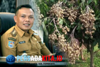 Bupati Konawe, H. Yusran Akbar ST, secara resmi mendorong Desa Lalombonda, Kecamatan Amonggedo, untuk ditetapkan sebagai Kampung Tematik Buah Kelengkeng.
