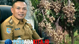 Bupati Konawe, H. Yusran Akbar ST, secara resmi mendorong Desa Lalombonda, Kecamatan Amonggedo, untuk ditetapkan sebagai Kampung Tematik Buah Kelengkeng.