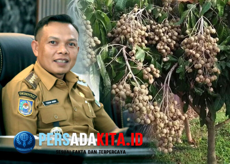 Bupati Konawe, H. Yusran Akbar ST, secara resmi mendorong Desa Lalombonda, Kecamatan Amonggedo, untuk ditetapkan sebagai Kampung Tematik Buah Kelengkeng.