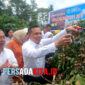 Bupati Yusran Akbar memotong buah kelengkeng pertama: 
Bupati Konawe H. Yusran Akbar ST didampingi Kepala Desa Lalombonda, Budiarto, SE, memotong buah kelengkeng New Cristal dalam acara Panen Raya di Desa Lalombonda, Rabu (10/9/2025)