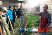 Kabid Cipta Karya Dinas PUPR Konawe, Jusdianto  bersama 5 anggotanya melakukan pengukuran lahan di belakang rumah Labade (58), warga disabilitas di RW III Kelurahan Lawulo, Kamis (18/9/2025). Mereka menyiapkan pembangunan toilet layak pakai berukuran 1,5x1,5 meter dari bantuan pribadi Bupati Yusran Akbar.
