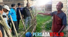 Kabid Cipta Karya Dinas PUPR Konawe, Jusdianto  bersama 5 anggotanya melakukan pengukuran lahan di belakang rumah Labade (58), warga disabilitas di RW III Kelurahan Lawulo, Kamis (18/9/2025). Mereka menyiapkan pembangunan toilet layak pakai berukuran 1,5x1,5 meter dari bantuan pribadi Bupati Yusran Akbar.

