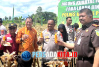 Kapolda Didik Agung Widjanarko (tengah) didampingi Sekda Konawe, Ferdind (kiri) dan Kajari Fachrizal (kanan), memetik jagung dengan tangan, senyum lebar, latar belakang hamparan tanaman jagung siap panen di lahan SMKNPP 5 Wawotobi, Kabupaten Konawe, Sulawesi Tenggara, Kamis (13/11/2025).