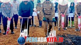 Bupati Konawe, H Yusran Akbar ST didampingi Ketua DPRD, I Made Asmaya saat Penanaman perdana jagung hibrida seluas 75 hektare di Kecamatan Puriala, yang menjadi pilot project Pemkab Konawe, belum lama ini