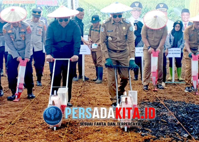 Bupati Konawe, H Yusran Akbar ST didampingi Ketua DPRD, I Made Asmaya saat Penanaman perdana jagung hibrida seluas 75 hektare di Kecamatan Puriala, yang menjadi pilot project Pemkab Konawe, belum lama ini