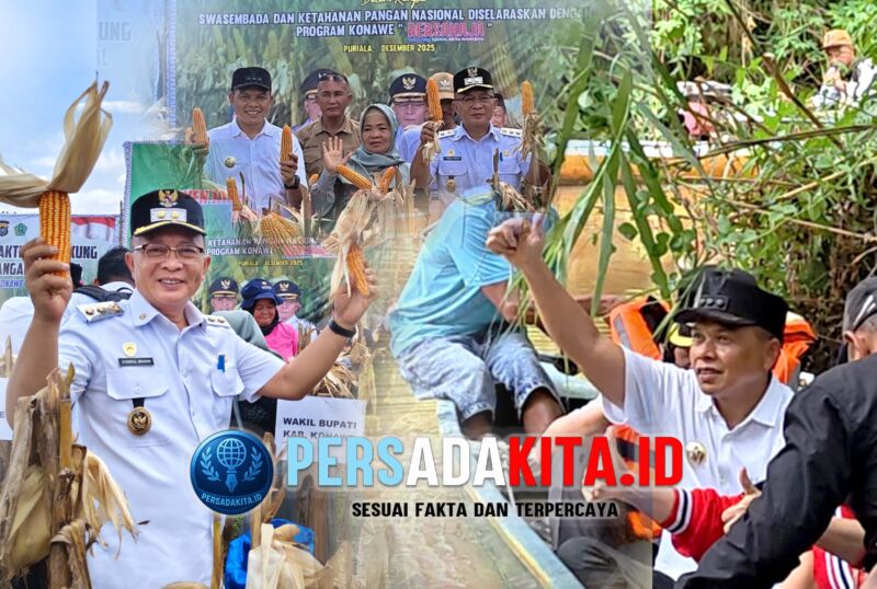 Kebanggaan Hasil Bumi: Bupati Yusran Akbar dan Wakil Bupati Syamsul Ibrahim menyaksikan langsung keajaiban panen jagung 8,3 ton/ha tanpa pupuk di lahan 75 hektar Desa Tetehaka, dengan total capaian 622,5 ton.