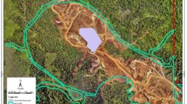 Photo Garis Hijau  Batas Peta kawasan PT RCP hutan yang mendapat ijin PPKH Menteri Lingkungan Hidup dan Kehutanan RI