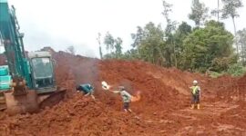 Sekelompok orang saat Hendak Membakar Alat Berat PT RCP menggunakan Bom Molotov