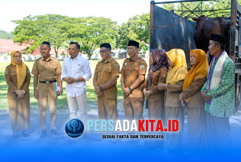 Bupati Konawe Yusran Akbar (berkemeja putih) usai menyerahkan secara simbolis sapi kurban bantuan Presiden Prabowo Subianto kepada perwakilan Desa Tabanggele di halaman Kantor Bupati Konawe, Selasa (26/5/2026).
