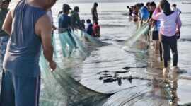 Ribuan peserta dari berbagai OPD, Pramuka, dan masyarakat bahu-membahu menarik jala ikan di tepi Pantai Tanjung Lalimbue.