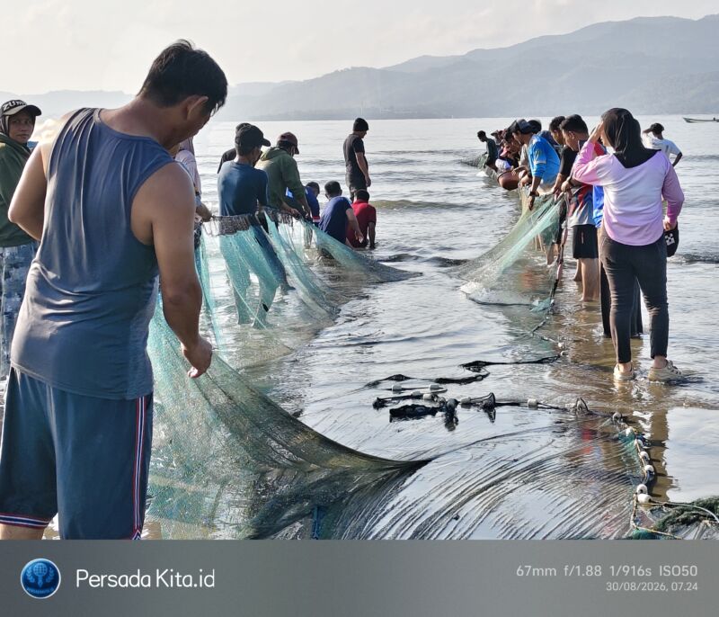 Ribuan peserta dari berbagai OPD, Pramuka, dan masyarakat bahu-membahu menarik jala ikan di tepi Pantai Tanjung Lalimbue.