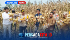 Wakapolres Konawe Kompol Hasruddin, S.E., M.M., bersama pejabat dan petani memperlihatkan hasil panen jagung varietas BISI 2 di Desa Langgonawe.