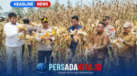 Wakapolres Konawe Kompol Hasruddin, S.E., M.M., bersama pejabat dan petani memperlihatkan hasil panen jagung varietas BISI 2 di Desa Langgonawe.
