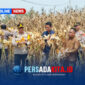 Wakapolres Konawe Kompol Hasruddin, S.E., M.M., bersama pejabat dan petani memperlihatkan hasil panen jagung varietas BISI 2 di Desa Langgonawe.
