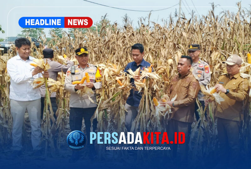 Wakapolres Konawe Kompol Hasruddin, S.E., M.M., bersama pejabat dan petani memperlihatkan hasil panen jagung varietas BISI 2 di Desa Langgonawe.
